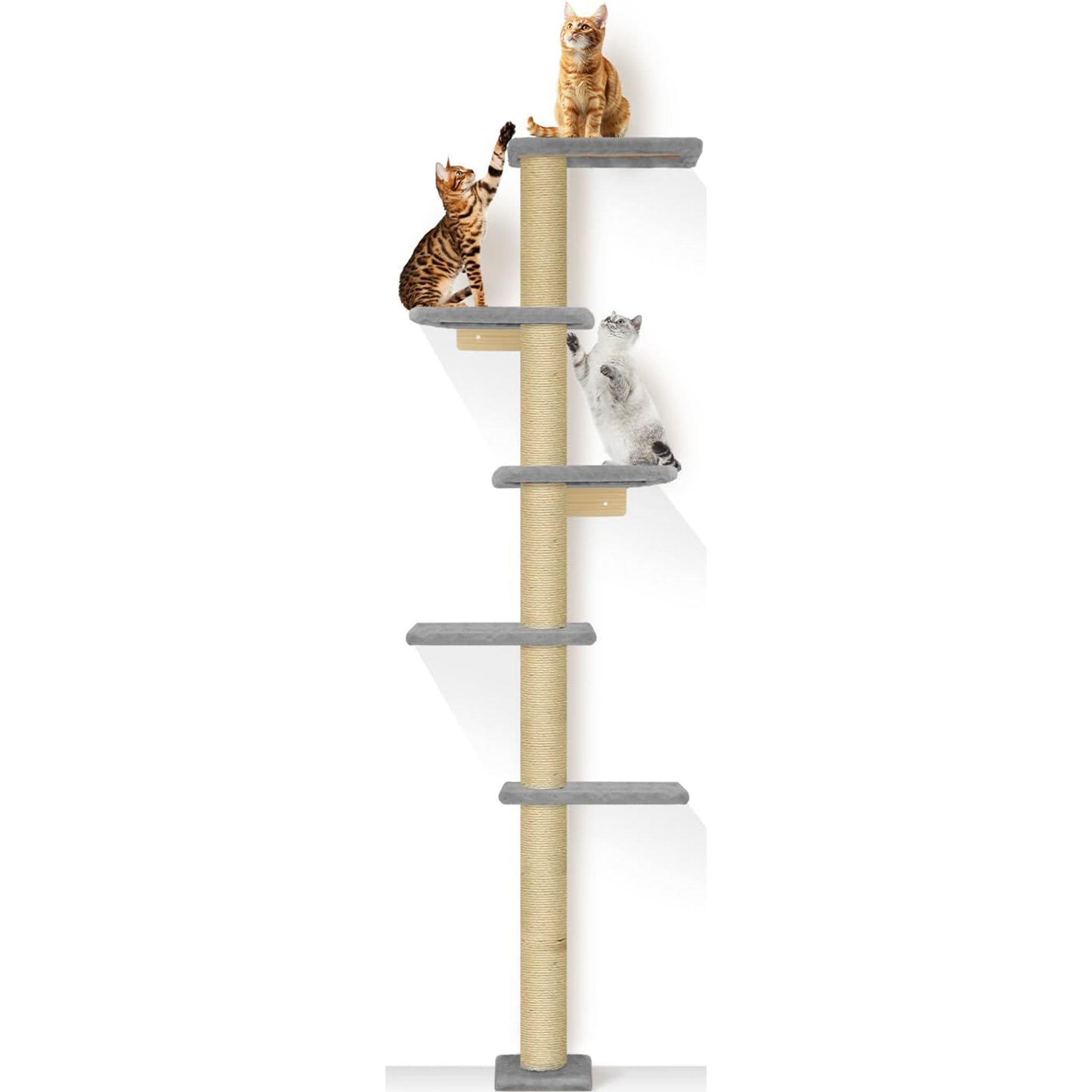 PAWSCRAT Cat Wall Shelves, Wall-Mounted Cat Tree, 5 Tier Floor to Ceiling Cats Tower, 80 Inch Wall-Mounted Cat Scratching Post, Space Saving Cat Furniture and Easliy Climb for All Cats, Gery