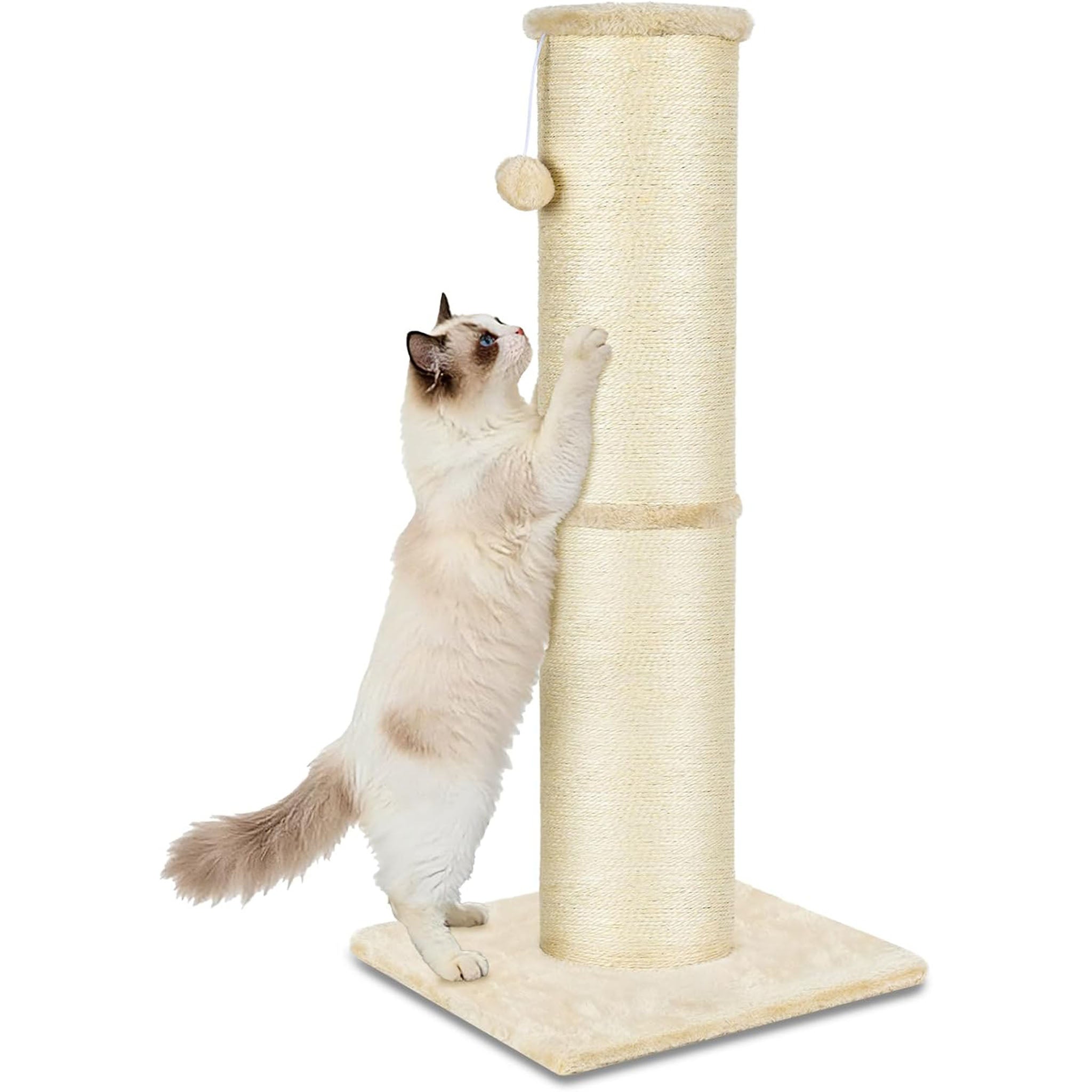 PAWSCRAT Cat Scratching Post 32 Inch High, 5.5 Inch Large Diameter Natural Sisal Cat Scratch Post, Scratch-Resistant and Durable Tall Cat Scratcher for Indoor Cats, Protect Your Furniture, Beige
