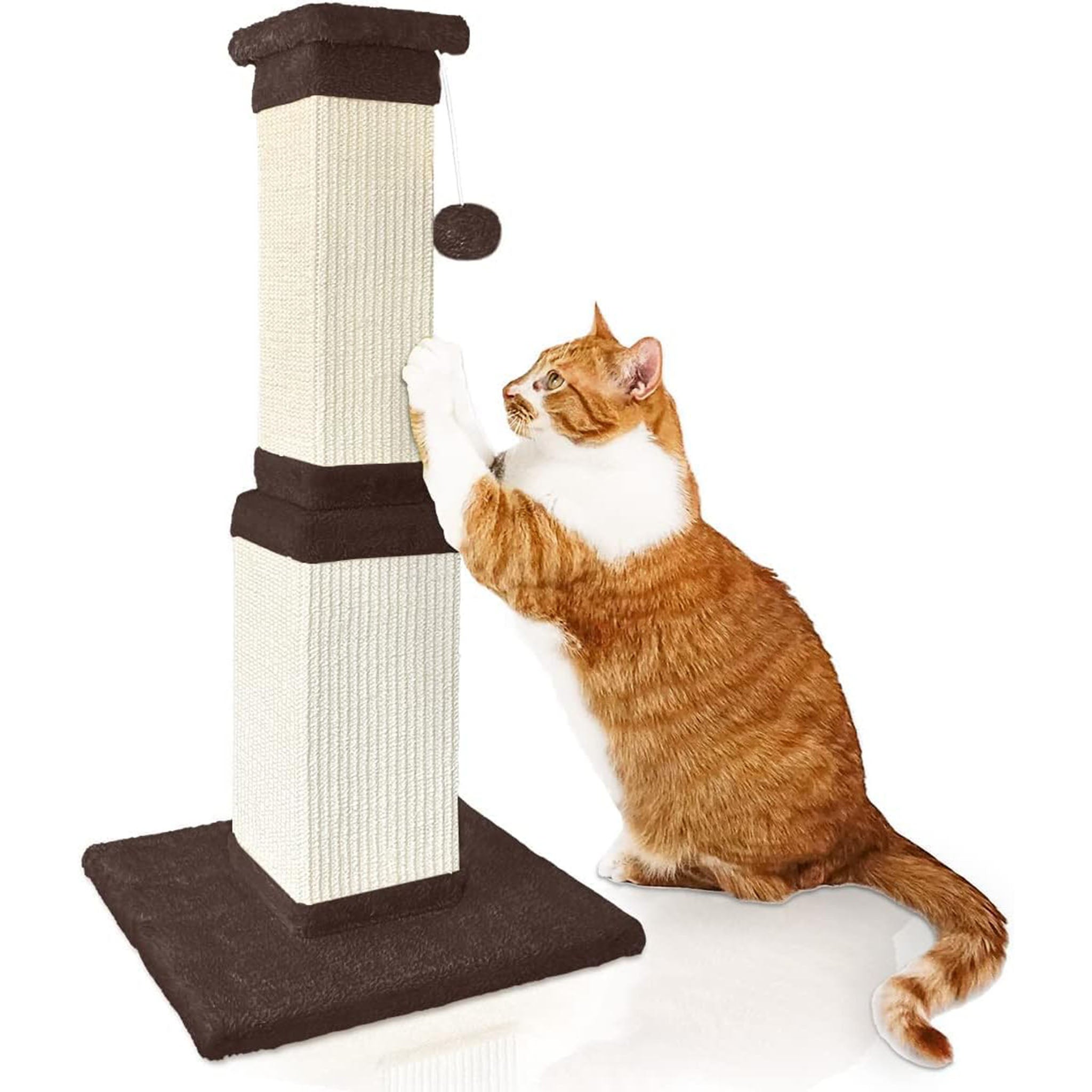 32 Inch Cat Scratching Post for Kittens, Nature Sisal Modern Scratcher for Indoor Cats, Protect Furniture and Exercise, Brown