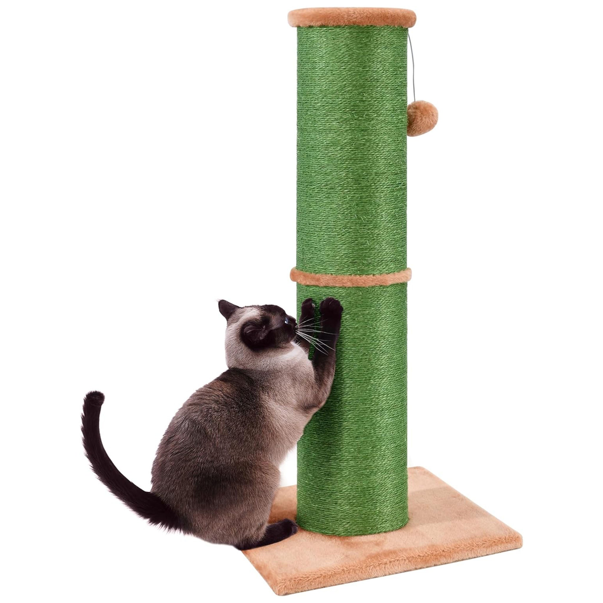 PAWSCRAT Cat Scratching Post 32 Inch High, 5.5 Inch Large Diameter Natural Sisal Cactus Cat Scratch Post, Scratch-Resistant and Durable Cat Scratcher for Indoor Cats, Green