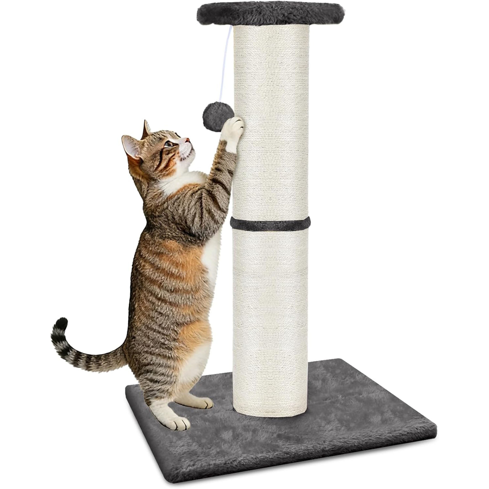 PAWSCRAT Cat Scratching Post 32" Tall, Large Diameter Natural Sisal Cat Scratch Post with Dangling Ball for Indoor Cats,LightGrey