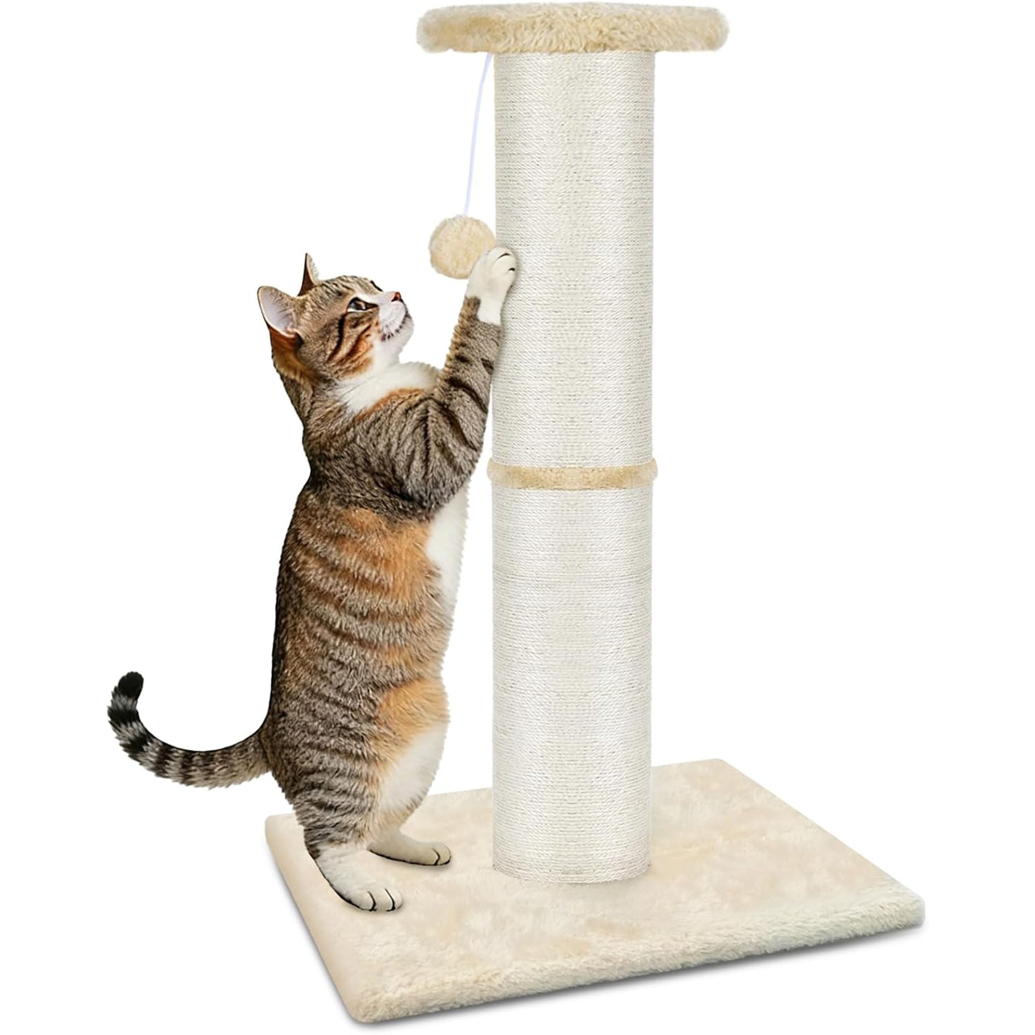 PAWSCRAT Cat Scratching Post 32" Tall, Large Diameter Natural Sisal Cat Scratch Post with Dangling Ball, Scratch-Resistant and Durable Tall Cat Scratcher for Indoor Cats, Protect Your Furniture, Beige